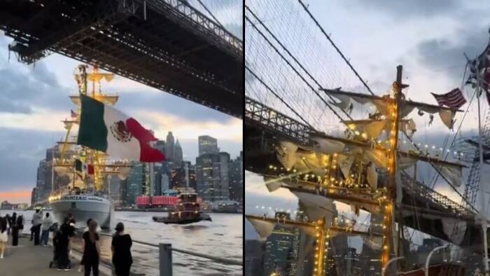 Mexican Navy ship collides into Brooklyn Bridge